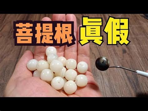 菩提的功效|【菩提手串功效】揭秘菩提手串的神秘功效：招財、保。